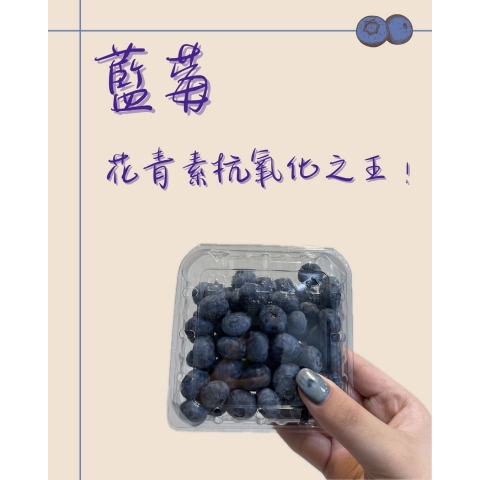 藍莓-花青素抗氧化之王